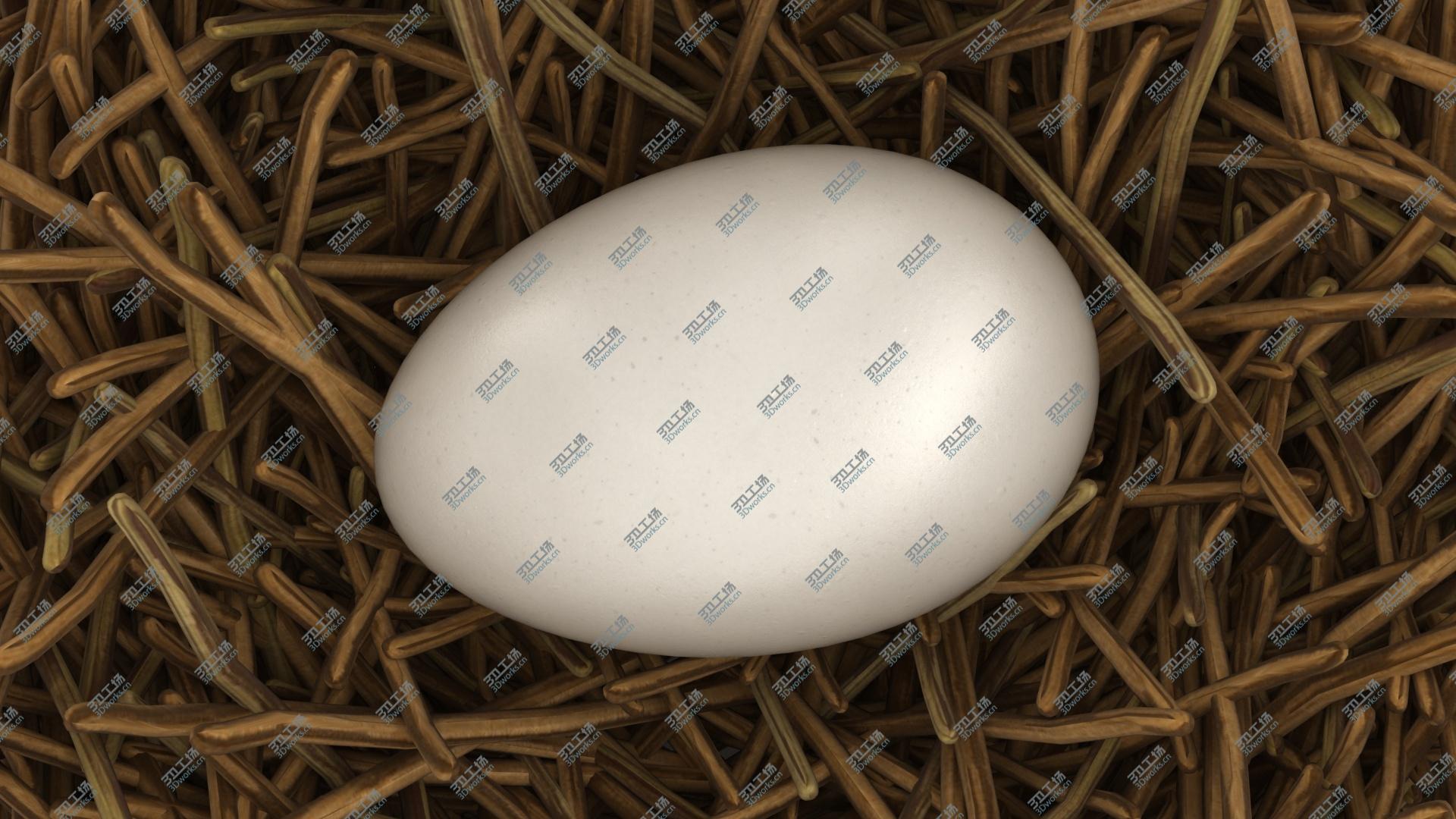 images/goods_img/202104093/Bird Nest Collection 3D model/5.jpg